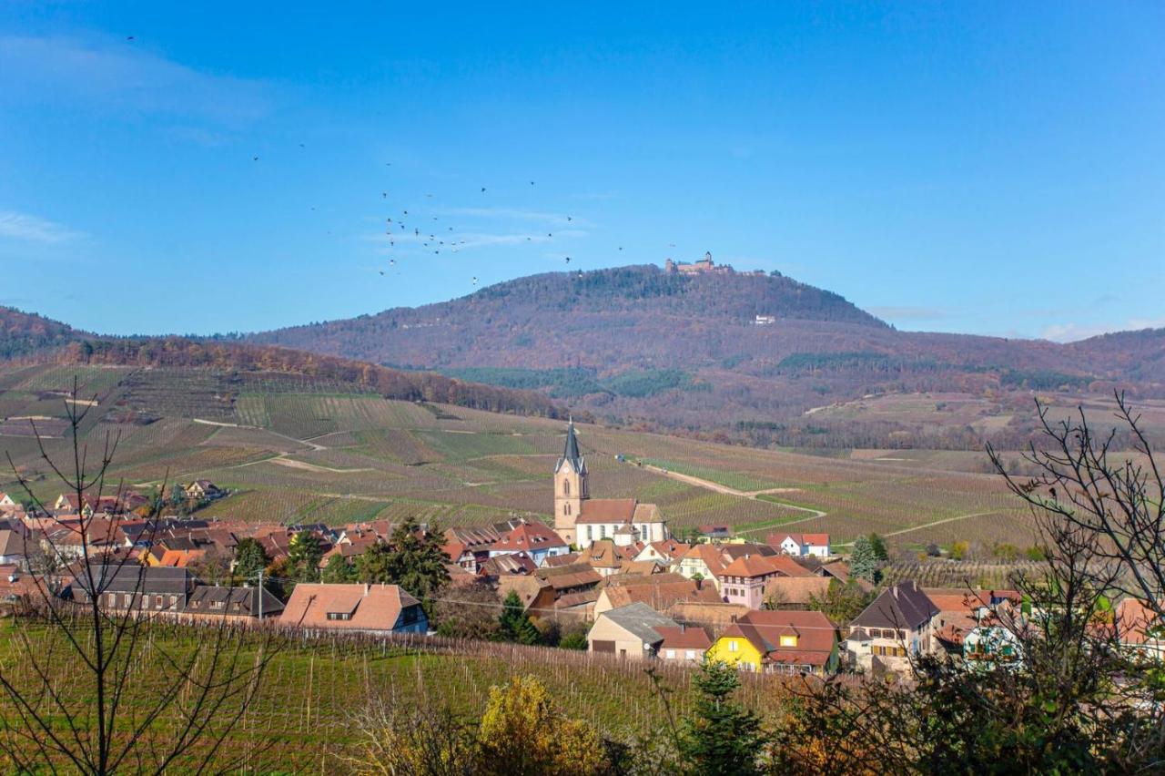 Gite La Rodernelle - Sauna Privatif - Climatisation - Vue Sur Le Chateau Du Haut Koenigsbourg Exterior photo